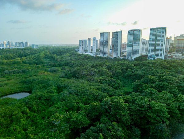 Éboueurs : ce qu'ils gagnent vraiment chaque mois et surprises