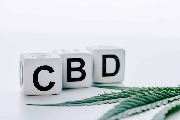 Comment est fabriqué le hasch ou la résine CBD ?