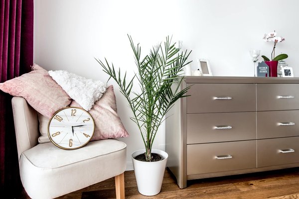 New look pour la maison : quelques idées de meubles design à acheter