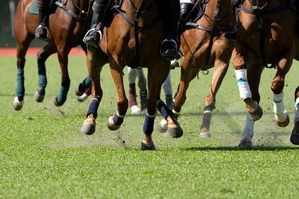 Comment le climat influence-t-il le Prix d'Amérique PMU 2024 ?