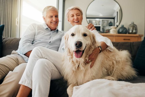 Comprendre les besoins nutritionnels spécifiques des chiens âgés