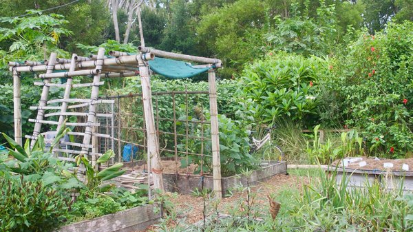 Comment construire un système de permaculture vertical pour des appartements en ville ?