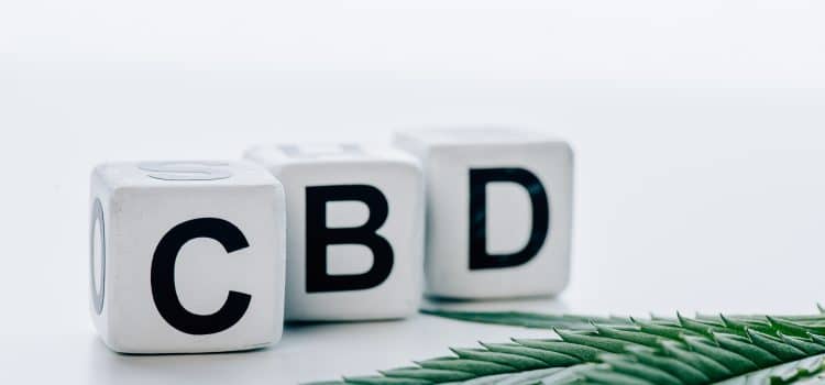 Comment est fabriqué le hasch ou la résine CBD ?