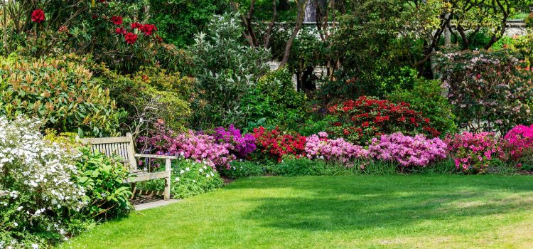 Comment créer une décoration de jardin agréable avec Déco-Jardin ?