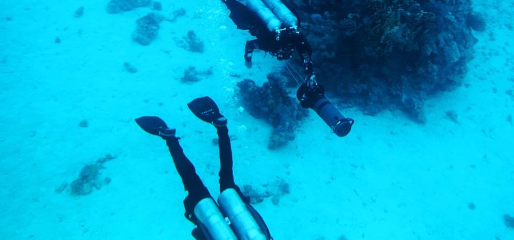Découverte des profondeurs : les fondamentaux de la plongée sous-marine pour les débutants
